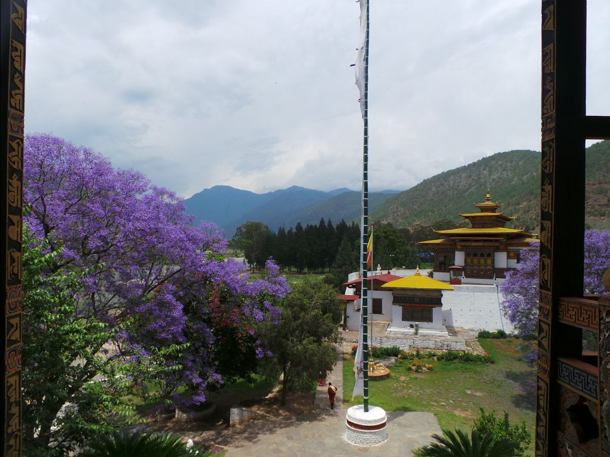 Punakha Dzong123